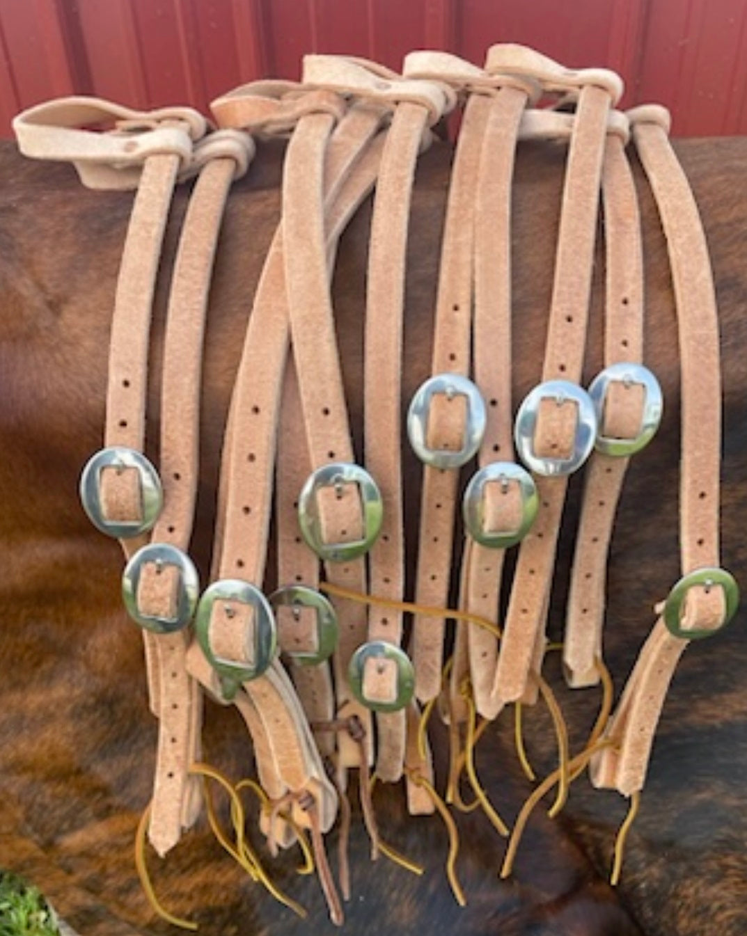 Roughout Headstall